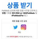 엑스프레스(Express) 이미지