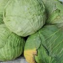 능주전통시장 이미지