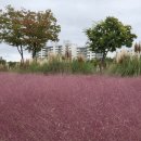 부엌우동집 이미지