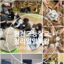 현천고등학교 이미지