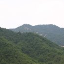 회성농장 이미지
