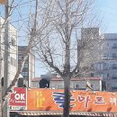 콜마트(프라임점) 이미지