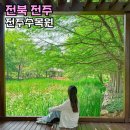 (주)서경건설 | 전주 갈만한곳 한국도로공사 전주수목원 장미 볼거리 5월