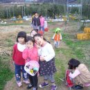 가나안농장1 이미지