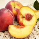 재민농장 이미지