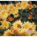 평생친구들