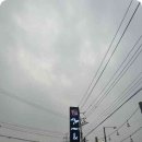 명품장어국수