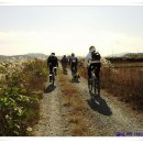 뚝길따라 이미지