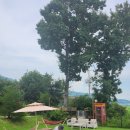 로만티카 | 강화도 가볼만한곳 애견동반 펜션 로만티카 다녀온 내돈내산 후기