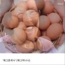 로망은 치인트같은 대학생활 (4.blog)