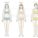 바디셀프 이미지