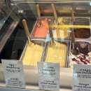 코코&꿀돼지 이미지