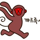 광주어린이대공원 네이버블로그