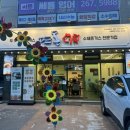 청솔초교 뒤 이미지