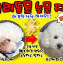 미원약국 이미지