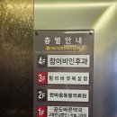한마음동물약품병원 | [고양이] 동글이 눈병으로 병원 진료 후기