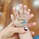 240428-0506 일기 / 너공 / 대전여행 / 지지 만남 / 대전 인터시티호텔 후기 / 시부모님 방문