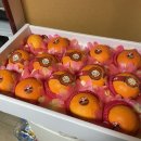 돌아온 김가네 제주여행🍊:둘째날