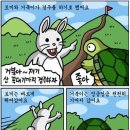토끼와거북이 이미지