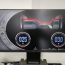 프로카센타 이미지