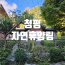 청평자연우리옷