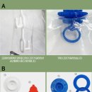 돋보이 개 이미지