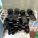 퍼피케어 | 송파 문정동 애견카페 <안녕퍼피> 방문 후기, 소형견 놀이터, 데이케어 가능한 곳