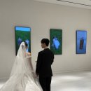 블로썸 | 보테가마지오 로스타뇨 홀 / 메리블로썸 아이폰스냅 촬영 후기