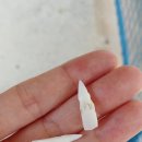 아란 농장 이미지