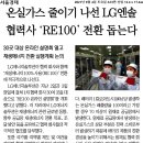개미카 이미지