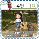 건강을지키는사람들 | 수원역근처 가볼만한곳 여기산공원 건강지키는 맨발 산책코스 후기