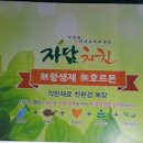 자담치킨보목점