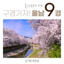 울산 남구의 자랑 "울남 9경" 구경 가자! [음성해설 지원] 이미지