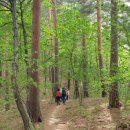 아름드리 목장 이미지