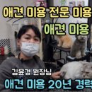 김윤경 개와 고양이 이미지