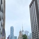[2024 미국 캐나다 자유 여행(가족여행)] &lt;9&gt; 토론토 시청, 토론토대학교, 이튼 센터, 디스틸러리...