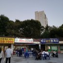 새마을금고~주공아파트 | 맥시칸치킨 메뉴 닭강정 내돈내산 재방문 후기 토현점