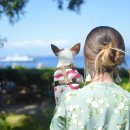 24시분당리더스동물의료원 이미지