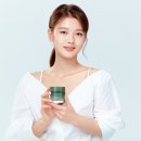 슬리핑포레스트 이미지