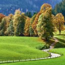 사랑방카페 이미지