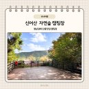 (주)신어산 자연숲캠핑장 이미지