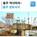 정토사법경대사자등탑비화장실 | 충주 정토사지(淨土寺址) 법경대사 자등탑비와 홍법국사 실상탑과 탑비