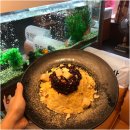 쉼터다방