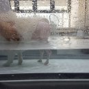 도아메디칼 이미지