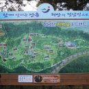 장흥편백