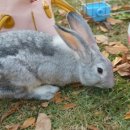 장우진동물병원 이미지