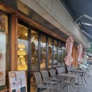 인커밍 | 동산동 카페 삼송 브런치 맛집 인커밍 다녀온 후기 ft.크로플 맛집, 반려동물동반가능
