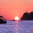 일출상사 이미지