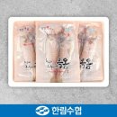 한림에서