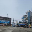 장미수산 | 궁평항 알 쭈꾸미 샤브샤브 맛집, 수산시장 삼화호 + 장미집 내돈내산 솔직후기 (주차 꿀팁까지)